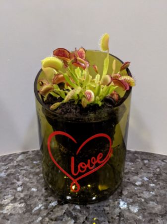 Picture for category Planters